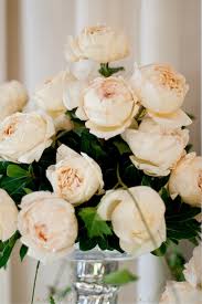 Work the fertilizer into the soil and water the rose bush. Rose Cream Yves Piaget