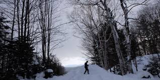 Gunung subur sejahtera dianugerahi iso. Tips Berkunjung Ke Jepang Untuk Wisatawan Pemula Saat Musim Dingin