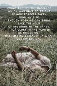 Splendor In The Grass Quotes Quotesgram