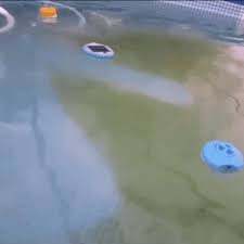 Pool Vacuum Cleaner In 2020 Pool Vacuum Cleaner Pool Vacuum Swimming Pool Vacuum