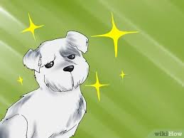 When naming your dog try and stick with one or two syllable names. 4 Ways To Name Your New Puppy Or Dog Wikihow