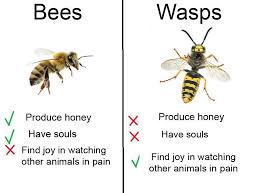 a factual comparison chart to aid your learning