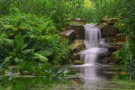 Wasserfall Im Botanischen Garten Bochum Foto Bild Deutschland Europe Nordrhein Westfalen Bilder Auf Fotocommunity