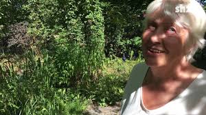 Rehe Im Garten Was Tun Youtube