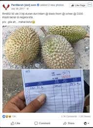 Duri hitam dengan warna durian ochee. 500 Gambar Durian Ochee Terbaru Infobaru
