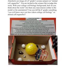 We did not find results for: Attached Is An Image Of A 6 Th Grader S Science Chegg Com