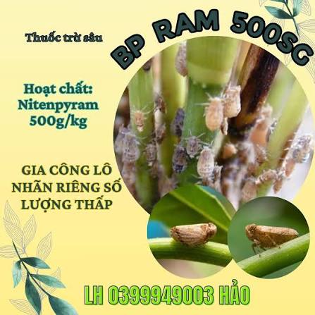 BP Ram 500SG
