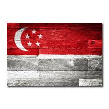 Free shipping on orders over $25 shipped by amazon. Singapore Flag Wall Art Canvas Print