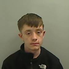 Man Sentenced after Assaults