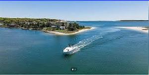 Wine Vineyard Tour and Boat Cruise on Northfork of Long Island