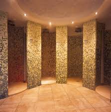 Catalogue Spa Showers Shower Contrast Shelter Design Indoor Pool Bathroom