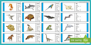 The above image shows an organism from the phylum cnidaria. Classification Of Vertebrates Cards Teacher Made