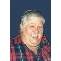 Doyle Ray Vinson Obituary April 30, 2014