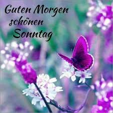 Sonntag In 2020 Guten Morgen Sonntag Bilder Guten Morgen Sonntag Guten Morgen