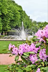 Rosengarten Rostock Rostock Sehenswurdigkeiten Hansestadt Rostock Rostock