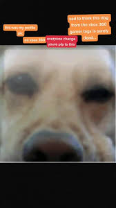 Check spelling or type a new query. Xbox360dog Hashtag Videos On Tiktok