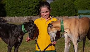 Meet Greyhound Rescue S Youngest Fundraiser Animal Rescue Shirt Greyhound Rescue Animal Rescue Fundraising