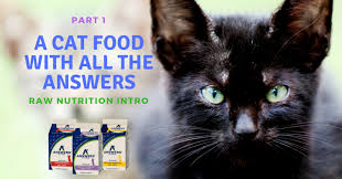 Cats like milk because of the high fat content. Part 1 A Cat Food With All The Answers Raw Nutrition Intro St Petersbark
