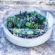 Now That S A Succulent Coffee Table Built Carefully Planted By Mart Built Caref Built Care In 2020 Succulent Garden Design Garden Coffee Table Plants