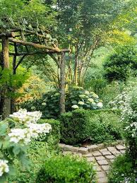 33 Wunderschone Pflanzen Fur Den Weissen Garten 8 Garten Pflanzen Wunderschone Garten Garten Ideen Garten Pflanzen