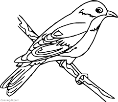 Click on any birds picture above to start coloring. Simple Bluebird Coloring Page Coloringall