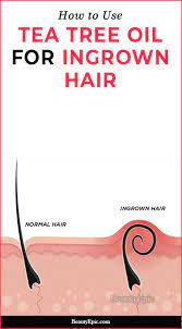 How Effective Is Using Tea Tree Oil For Ingrown Hair Ingrown Hair Tea Tree Oil Tea Tree Oil Hair
