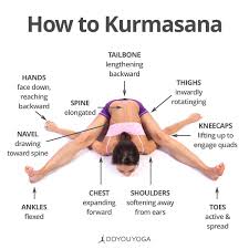 Tortoise Pose 101 What Are Your Favorite Cues For Kurmasana Yoga Avanzado Estiramientos De Yoga Anatomia De Yoga