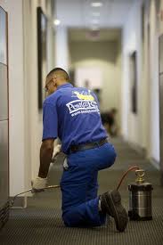 Allow our pest controllers to deliver the best and effective pest. Mouse Control Home Safe Pest Control
