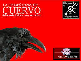 304.- 10 Las Enseñanzas del Cuervo