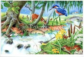 Maybe you would like to learn more about one of these? House Of Puzzles Hop By The Riverbank Big 250 Pce Jigsaw Puzzle Mc139 For Sale Online Ebay Riverbank Art Beautiful Artwork