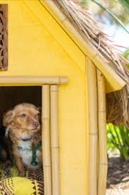 Cool Dog House Ideas Cevre Dostu Kopek Evi Decombo 2020 Kopek Sevimli Kopekler Bahce Tasarim Fikirleri