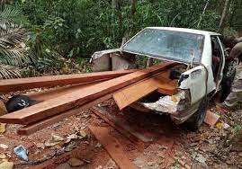 Cuba korang kira berapa banyak kereta yang ada kat dalam tu. Curi Kayu Balak Dengan Kereta Yang Hampir Tinggal Rangka Utusan Borneo Online