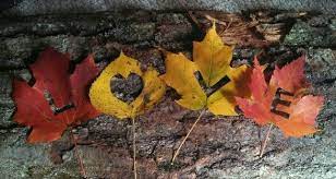 Love 3 Fall Leaves 3 Fall Facebook Cover Photos Fall Facebook Cover Fall Cover Photos