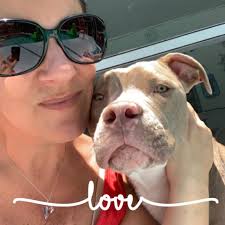 Lost pet near Norwood Ave and Tangelo St