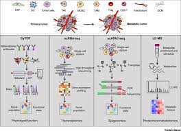 Acquired mutations are not found in every cell in the body and they are mutations in dna repair genes may be inherited or acquired. Turning Cold Into Hot Firing Up The Tumor Microenvironment Trends In Cancer