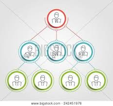 business hierarchy vector photo free trial bigstock