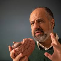 PDF) UNIVERSITE DE BORDEAUX THESE Doctorate Neuroscience Carlos Leger  Sherman Palmer Junior