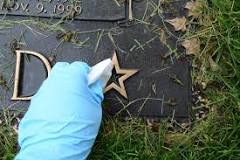 Image result