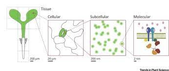 The cell is focused on the molecular biology of cells as a unifying theme, with specialized topics discussed throughout the book as examples of more university of utah genetics learning center: Towards Building A Plant Cell Atlas Trends In Plant Science
