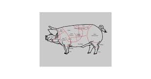Pork Meat Cuts Diagram Chart Postcard Zazzle Com
