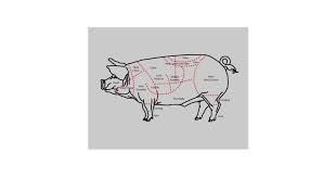 pork meat cuts diagram chart postcard zazzle com