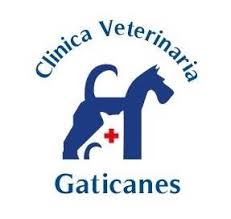 Veterinaria Gaticanes