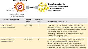 Firstly, pfizer says based on internal testing that its vaccine can tolerate warmer temperatures than initially specified, possibly making. Covid 19 Vaccines Where We Stand And Challenges Ahead Cell Death Differentiation