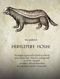 Hufflepuff Pride Harry Potter Hufflepuff Harry Potter Houses Harry Potter Obsession