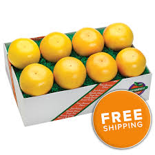 Image result for Grapefruit