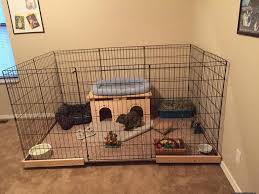 Pin By Barbara Zanghelini On Rabbit Pet Bunny Rabbits Diy Bunny Cage Rabbit Hutches