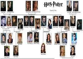 She's just so terrifyingly familiar. Harry Potter Imagines Vol 1 Harry Potter Family Tree Harry Potter Characters Harry Potter Characters Names