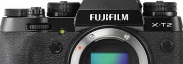 The 24 Best Vintage Film Cameras To Buy