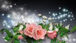 Check spelling or type a new query. Wallpaper Bunga Mawar Bergerak Garden Roses Nature Flower Rose Pink Rose Family Petal Plant Flower Arranging Floral Design 1853352 Wallpaperkiss