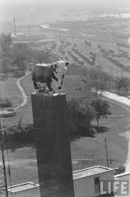 Bull Statue At The American Herford Association In Kansas City Kansas City Downtown Kansas City Kansas City Missouri